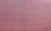 Pilon Wood - Garay - Nanciton - Suradan - Bully Tree Wood sample
