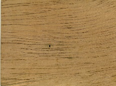 Chime tree wood sample