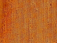 Copey Oak wood sample