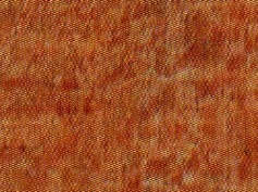 Titor Wood - Corozo sample